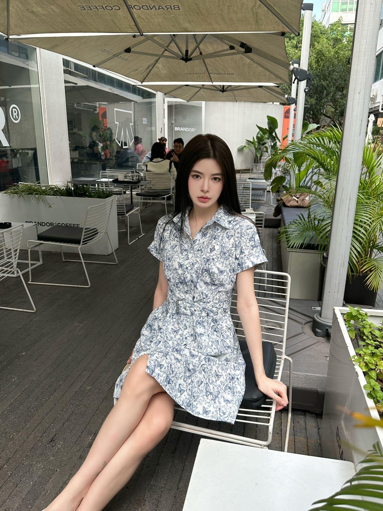 디올 나비 프린트 드레스 2컬러 (해외배송)