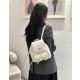 디올 카로백팩  (국내배송)