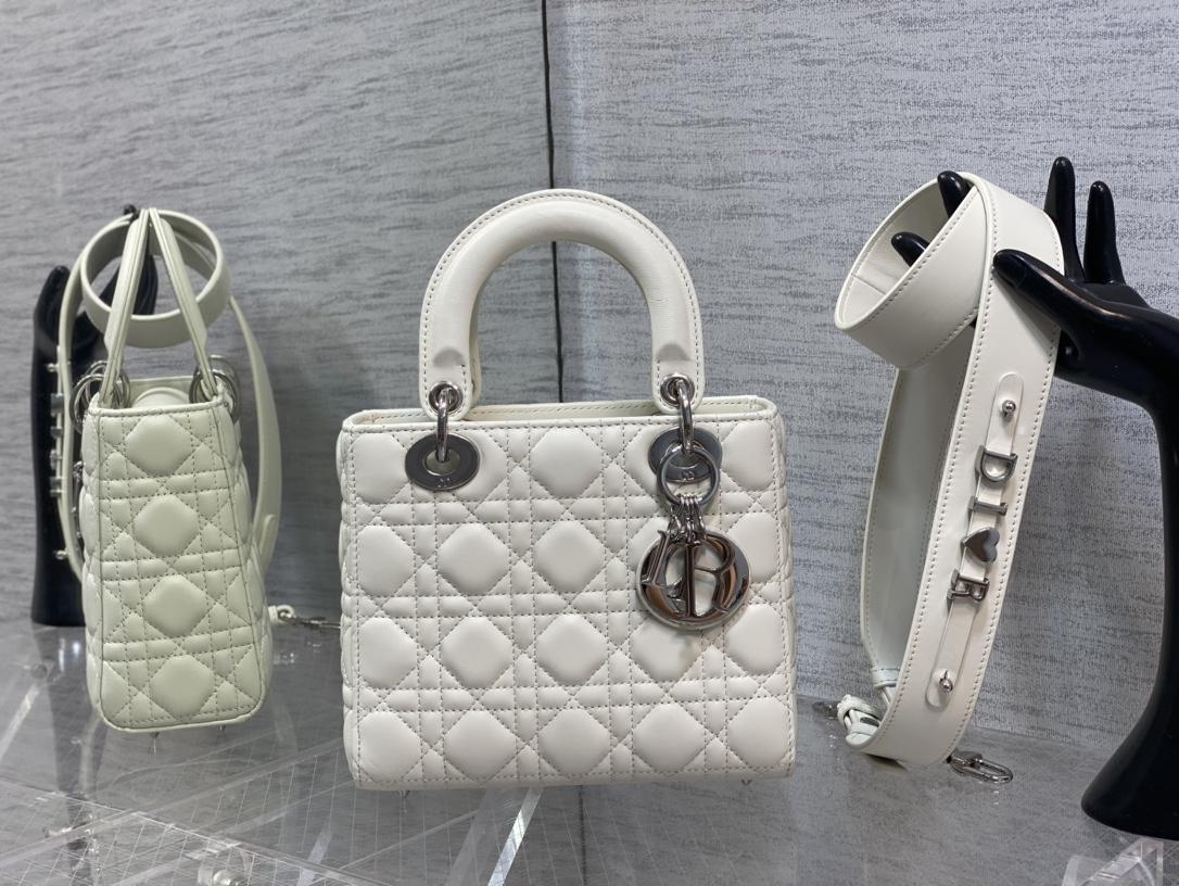 디올 레이디백 (해외배송)