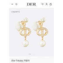 디올 트라이벌 진주 귀걸이 (국내배송)