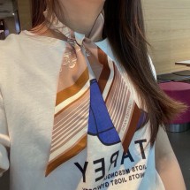 에르메스 트윌리 (해외배송)